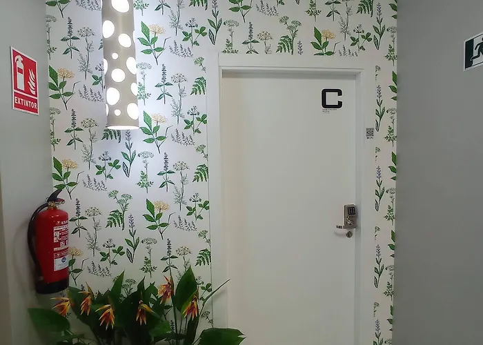 Turistico La Credencial * Santiago de Compostela